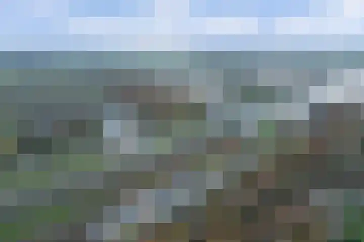 Sluis Noord 8 Wijk bij Duurstede thumbnail 47