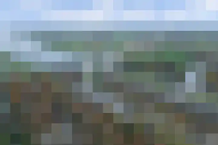 Sluis Noord 8 Wijk bij Duurstede thumbnail 48