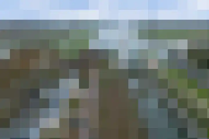 Sluis Noord 8 Wijk bij Duurstede thumbnail 49