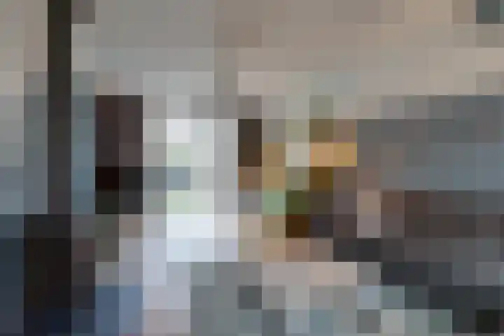 Sluis Noord 8 Wijk bij Duurstede thumbnail 5