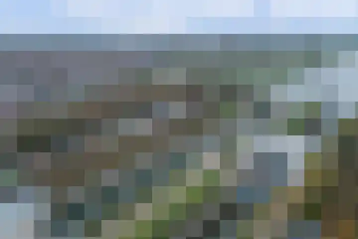 Sluis Noord 8 Wijk bij Duurstede thumbnail 50