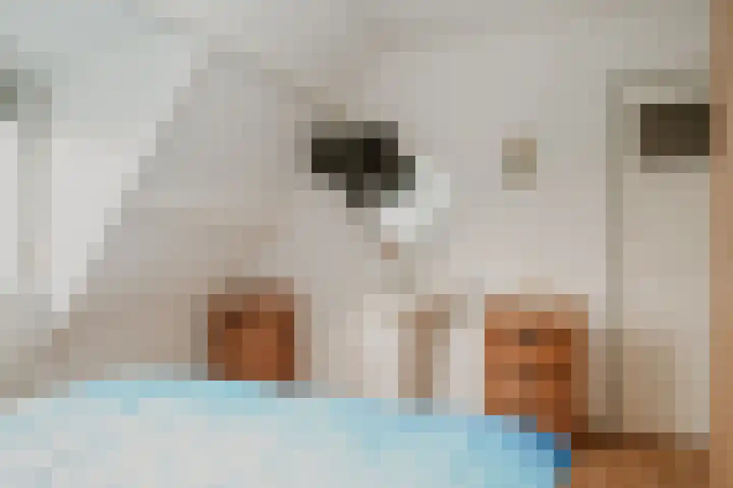 Sluis Sint Andries 1 Heerewaarden thumbnail 23
