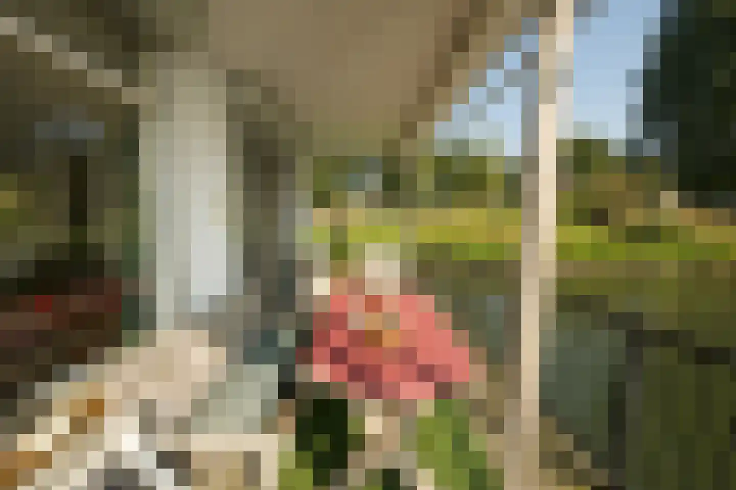 Sluis Sint Andries 10 Rossum thumbnail 15