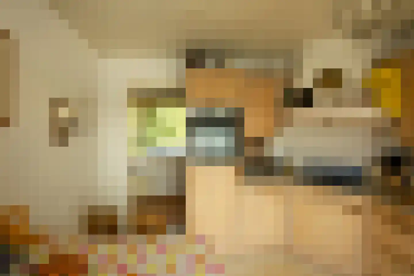 Sluis Sint Andries 10 Rossum thumbnail 19