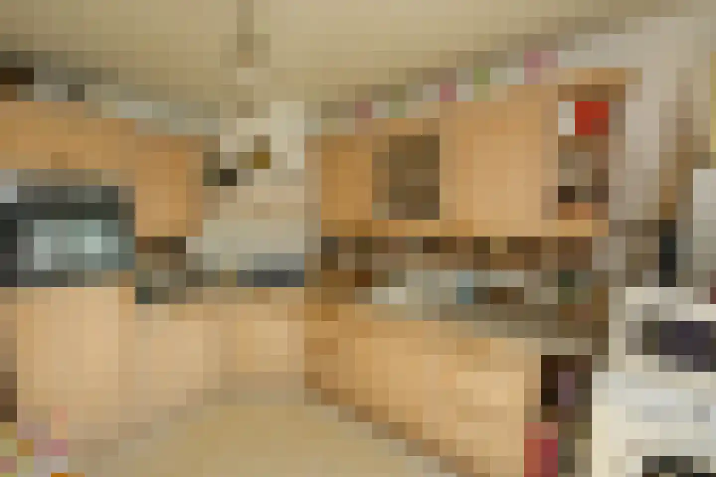 Sluis Sint Andries 10 Rossum thumbnail 21