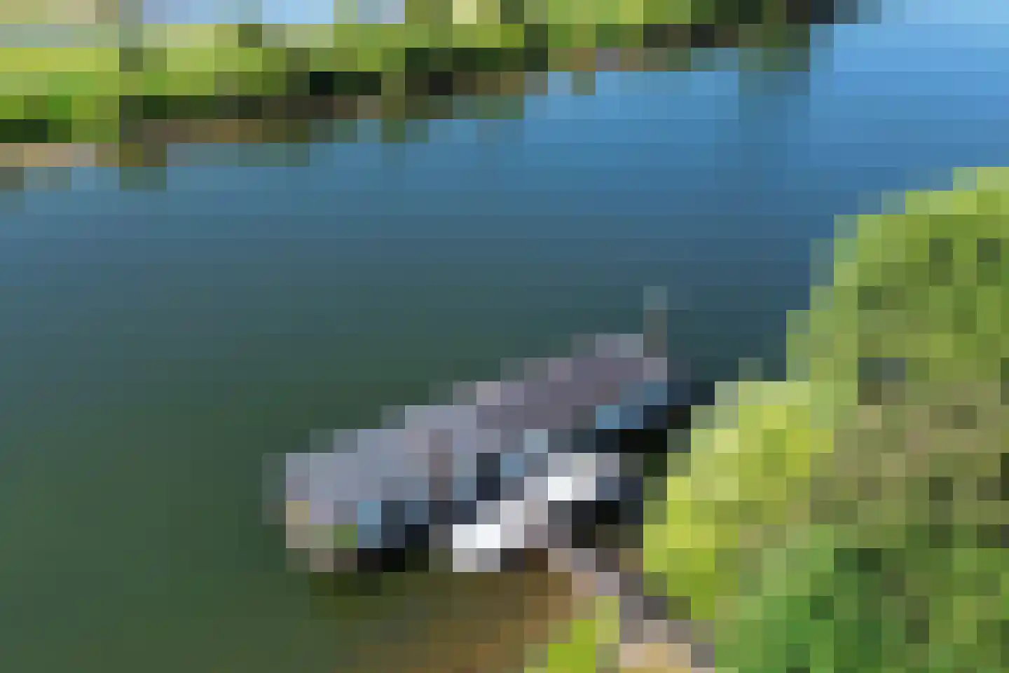 Sluis Sint Andries 10 Rossum thumbnail 29