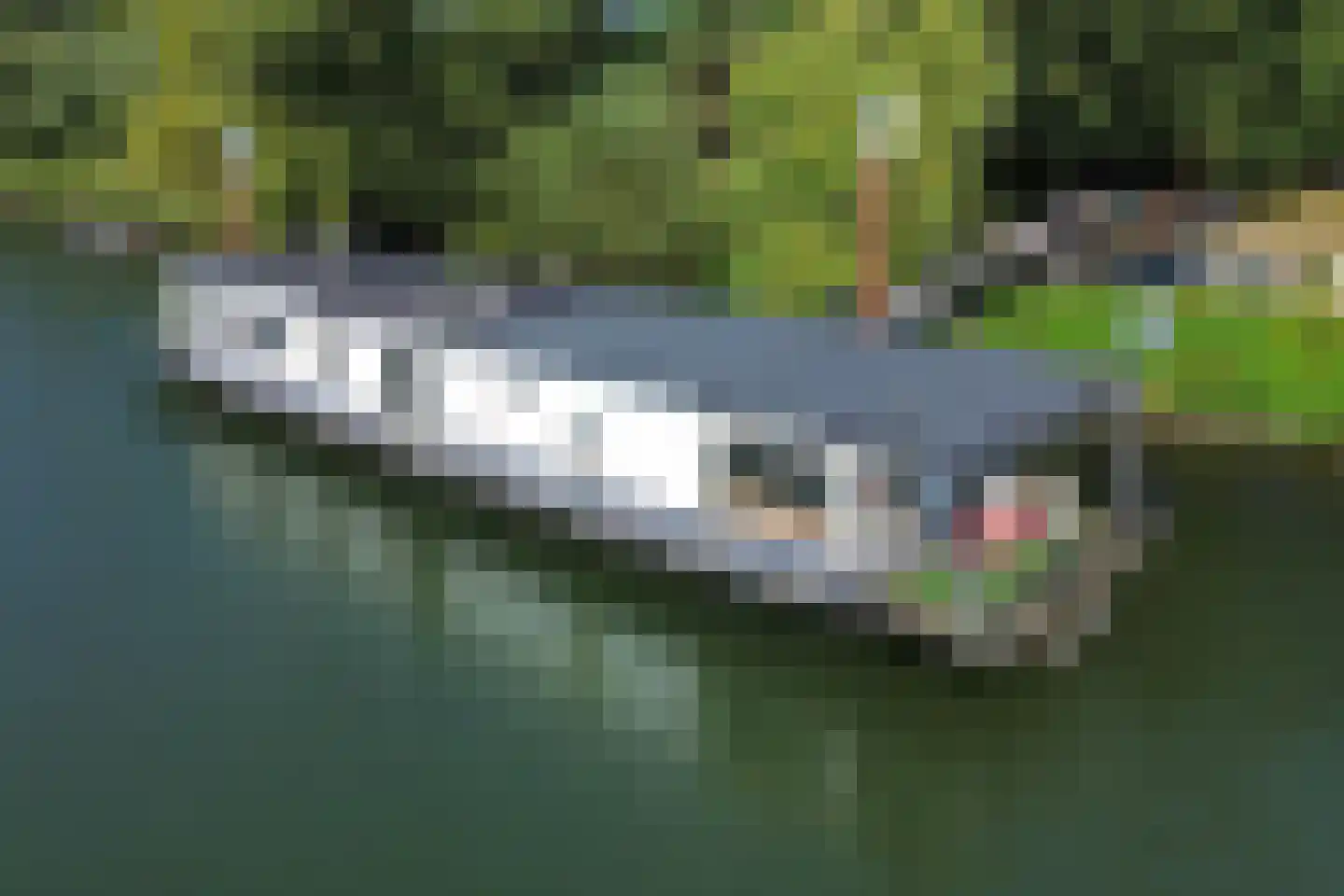 Sluis Sint Andries 10 Rossum thumbnail 32