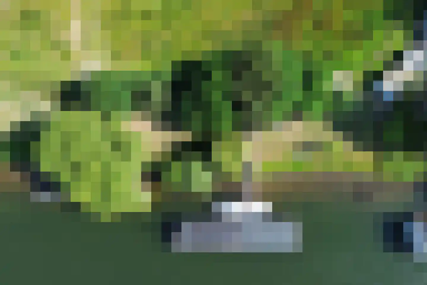 Sluis Sint Andries 10 Rossum thumbnail 34