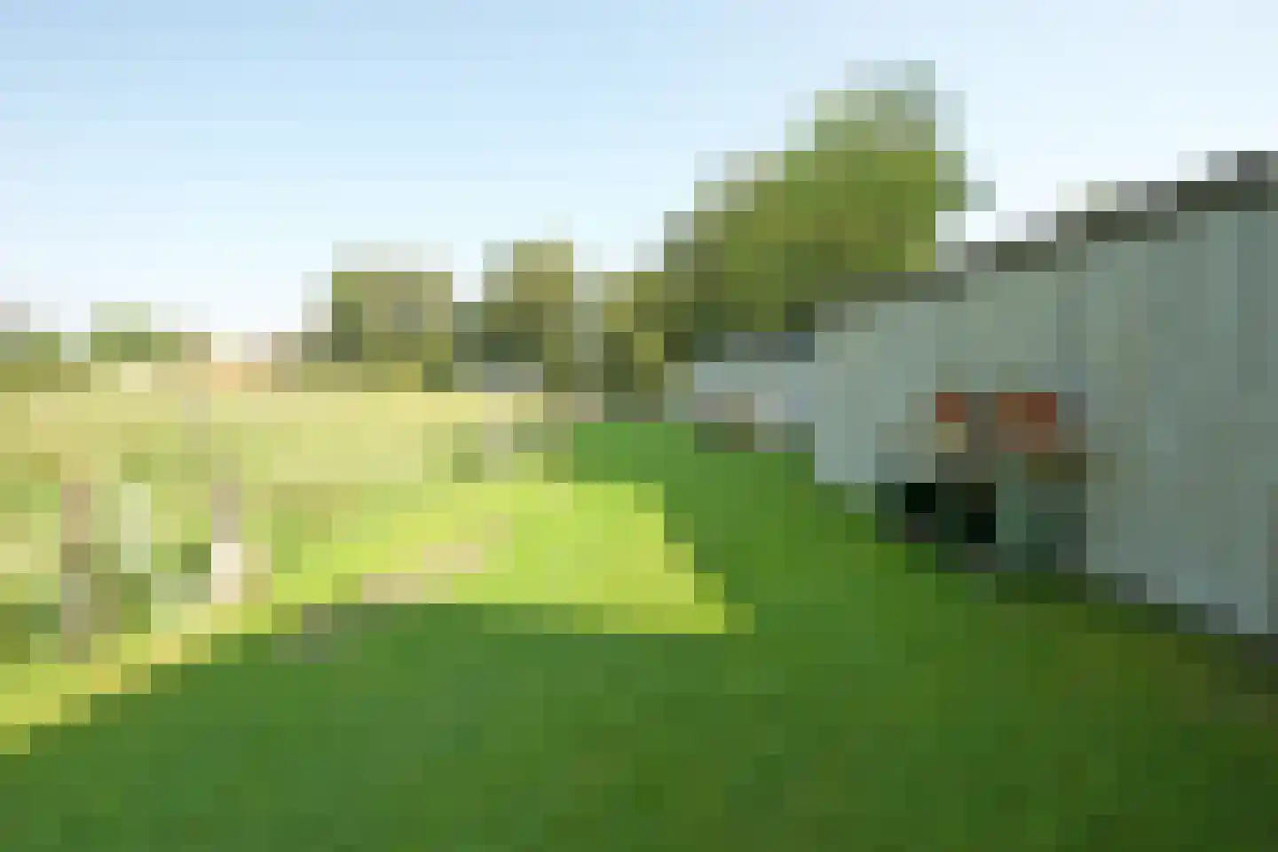 Sluis Sint Andries 10 Rossum thumbnail 36