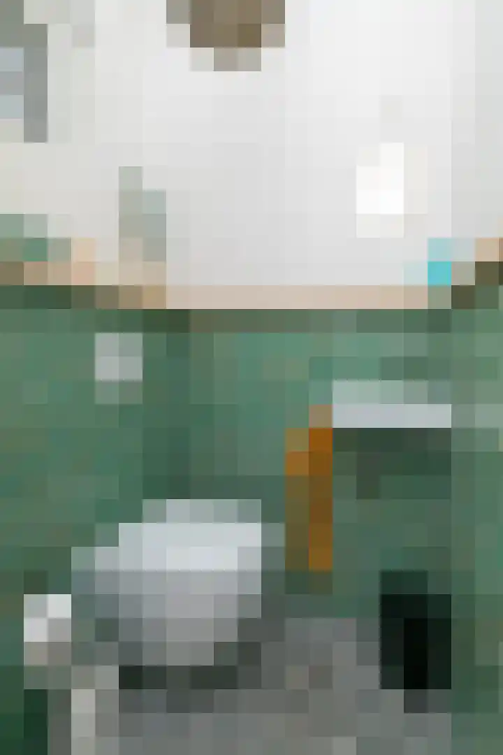 Sluisakker 9 Raamsdonk thumbnail 13