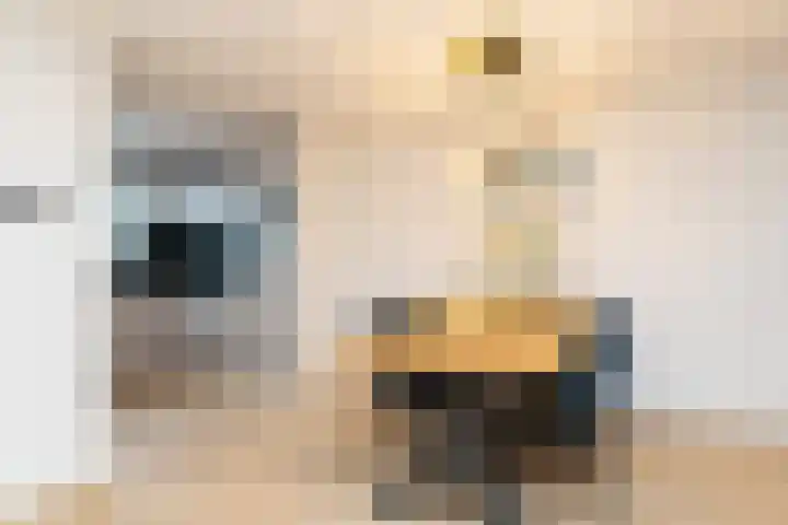Sluisakker 9 Raamsdonk thumbnail 14