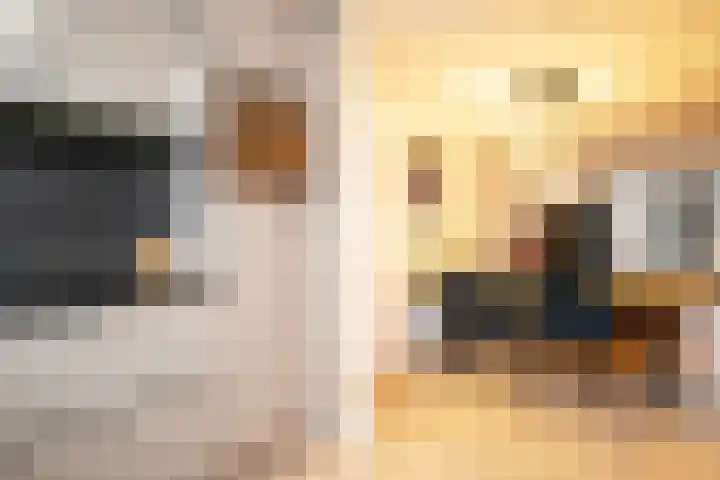 Sluisakker 9 Raamsdonk thumbnail 29