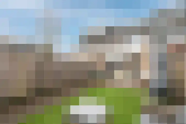 Sluisakker 9 Raamsdonk thumbnail 46