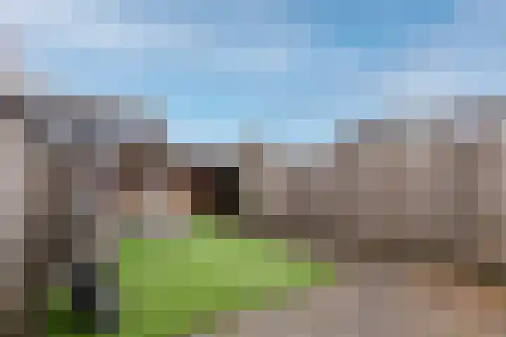 Sluisakker 9 Raamsdonk thumbnail 48
