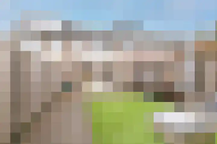 Sluisakker 9 Raamsdonk thumbnail 5