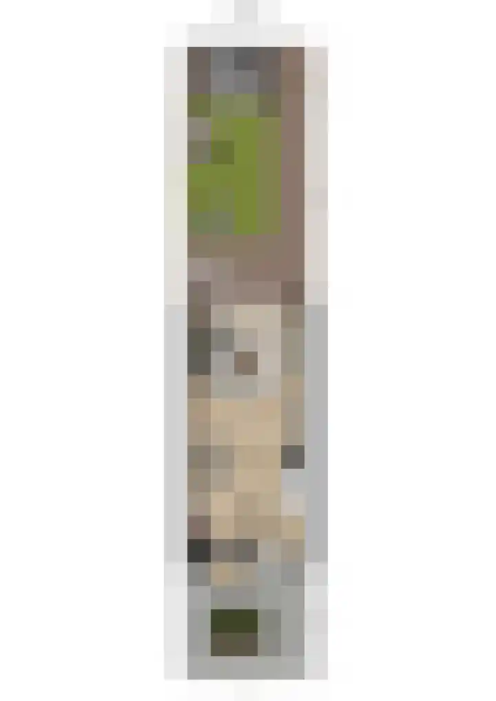 Sluisakker 9 Raamsdonk thumbnail 53