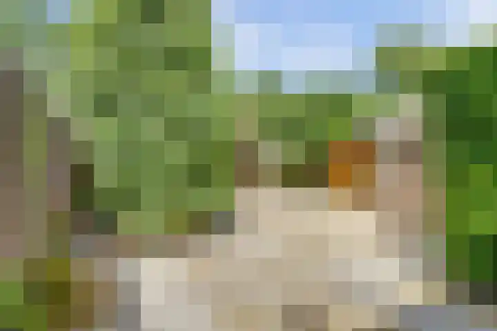 Sluisdeur 69 Grootebroek thumbnail 19