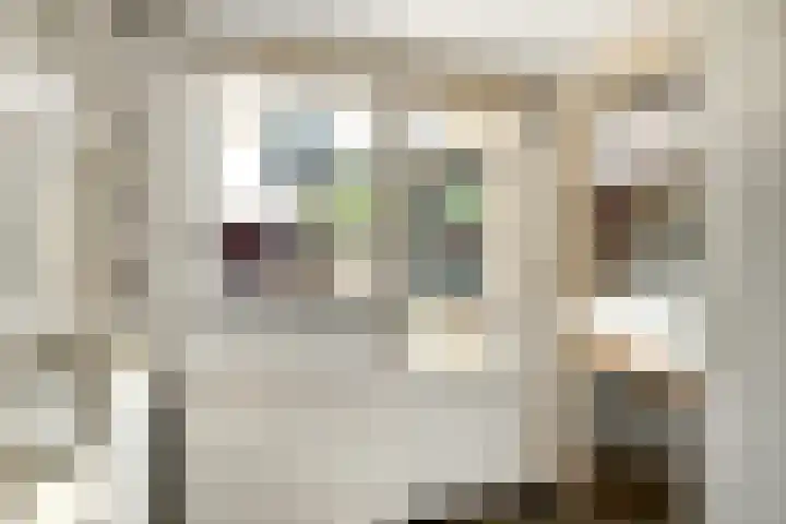 Sluisdeur 69 Grootebroek thumbnail 23