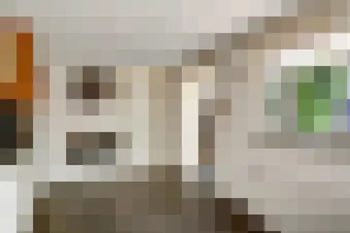 Sluisdeur 69 Grootebroek thumbnail 24
