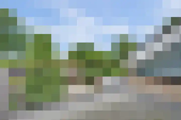 Sluisdeur 69 Grootebroek thumbnail 38
