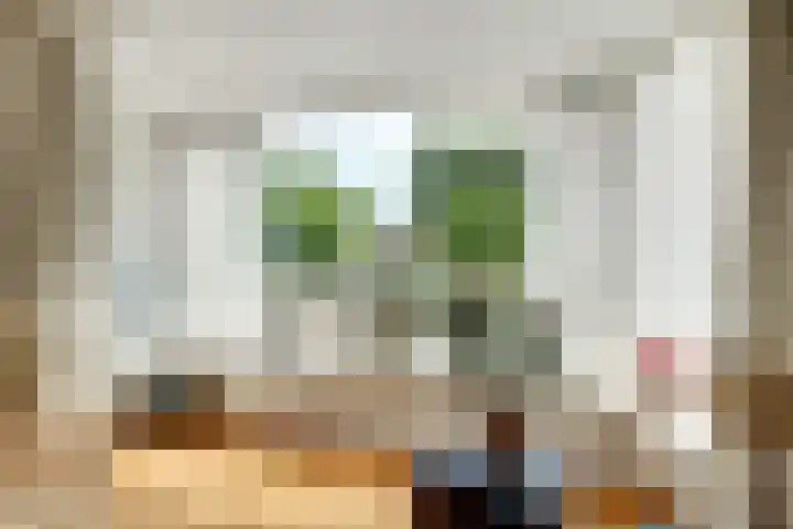 Sluisdeur 69 Grootebroek thumbnail 9