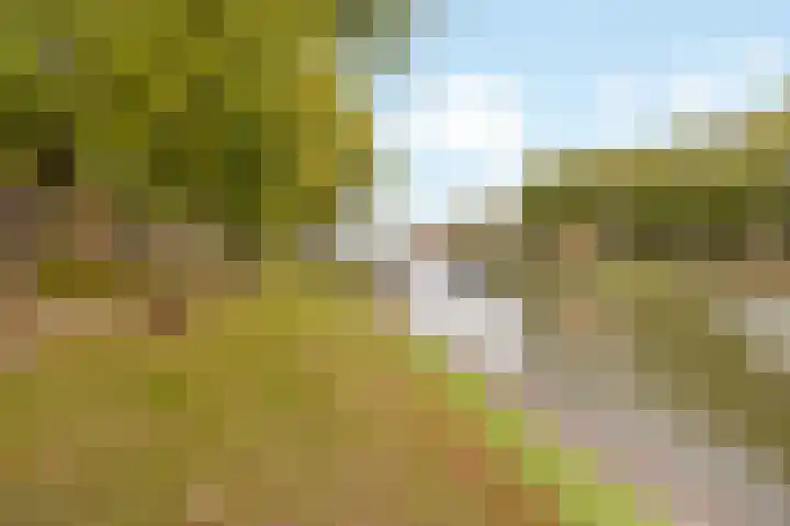 Sluiseiland-Noord 62 Vianen thumbnail 38