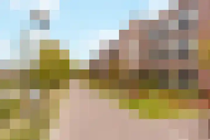 Sluiseiland-Noord 62 Vianen thumbnail 44