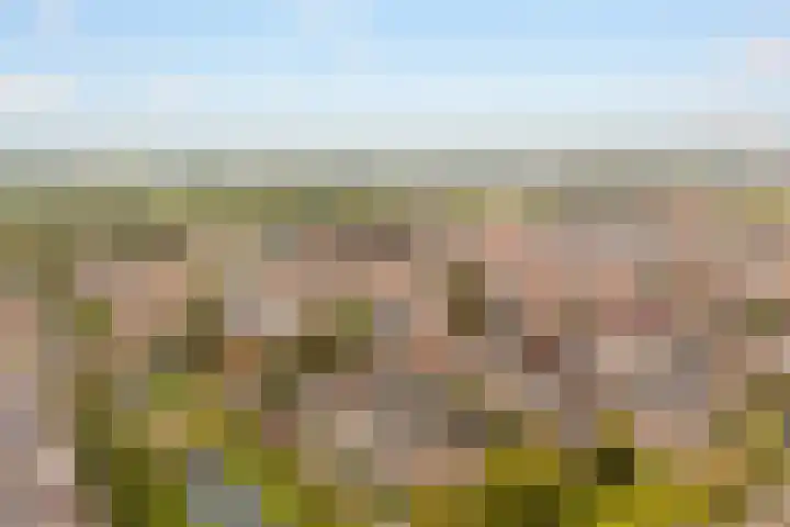 Sluiseiland-Noord 62 Vianen thumbnail 46