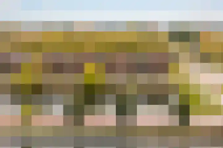 Sluiseiland-Noord 62 Vianen thumbnail 49