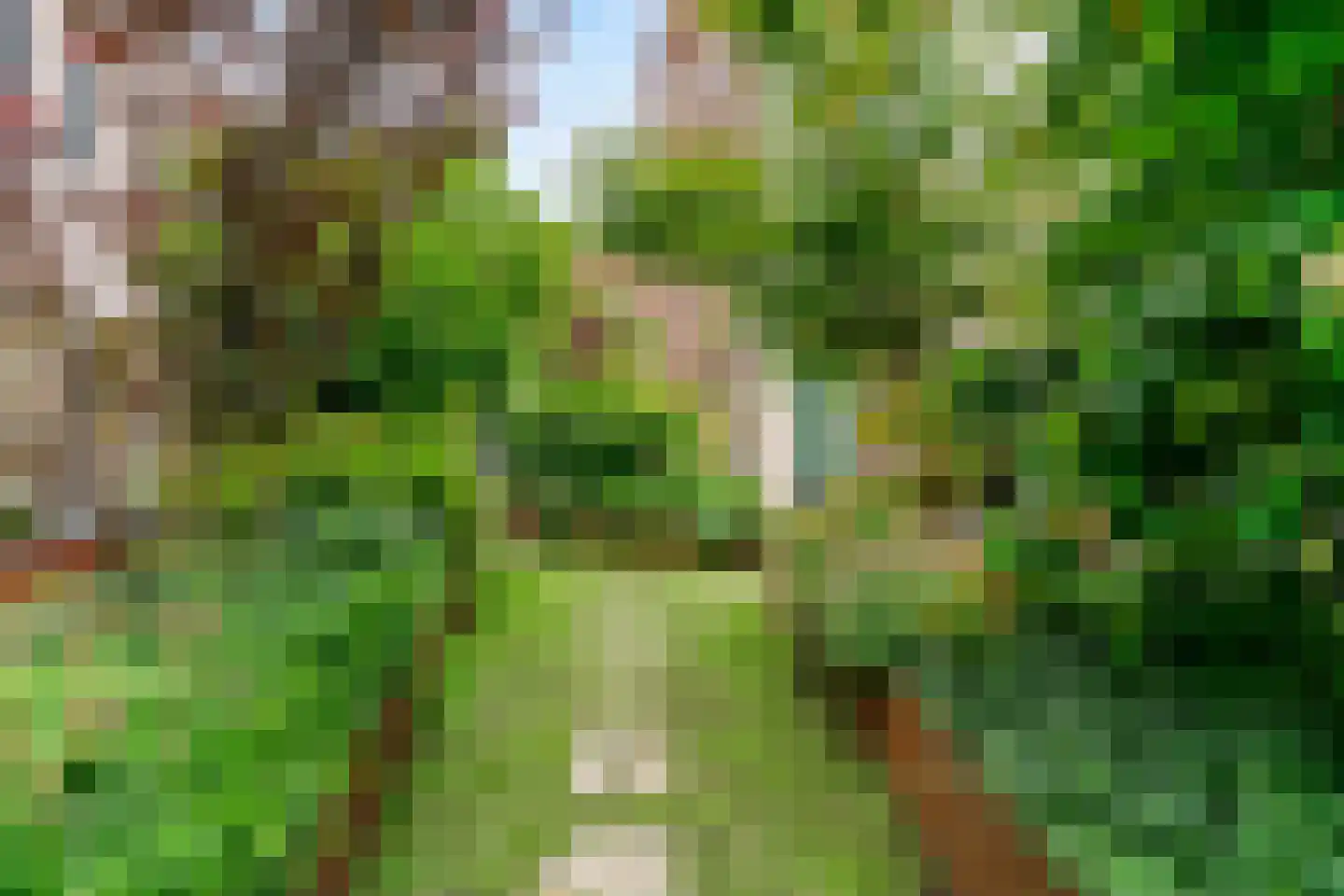 Sluiseiland-Zuid 12 Vianen thumbnail 5