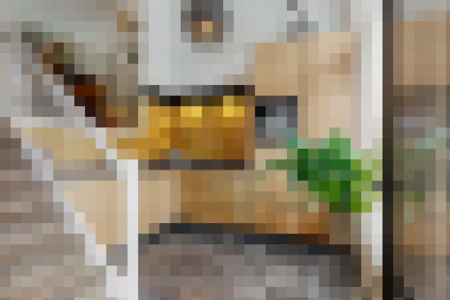 Sluiseiland-Zuid 12 Vianen thumbnail 7