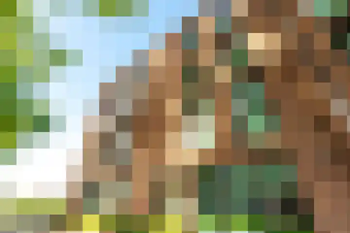 Sluiseiland-Zuid 137 Vianen thumbnail 60