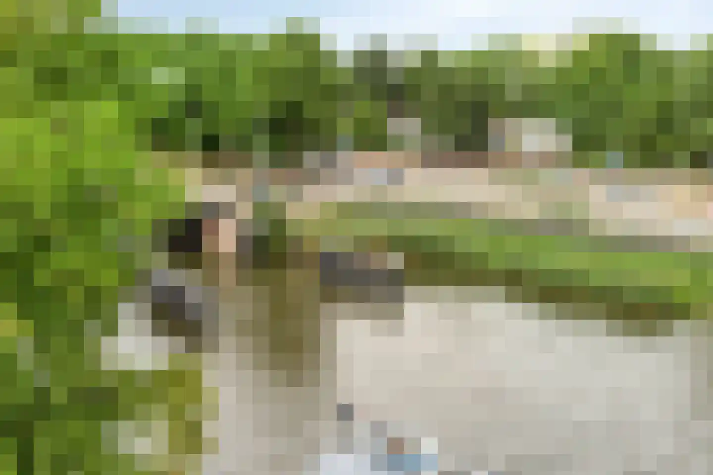 Sluiseiland-Zuid 29 Vianen thumbnail 34