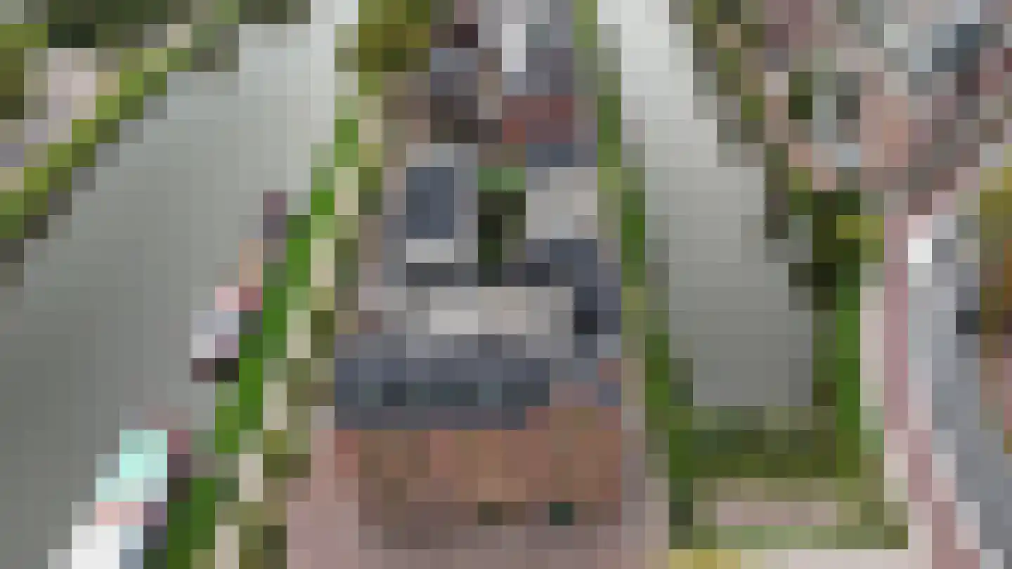 Sluiseiland-Zuid 29 Vianen thumbnail 47