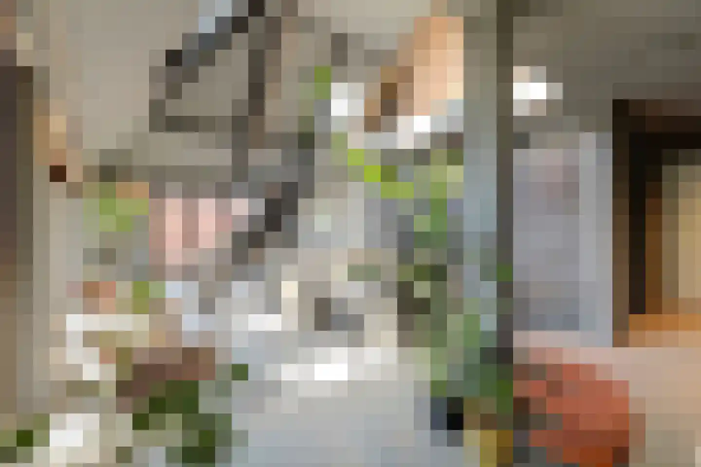 Sluiseiland-Zuid 56 Vianen thumbnail 10