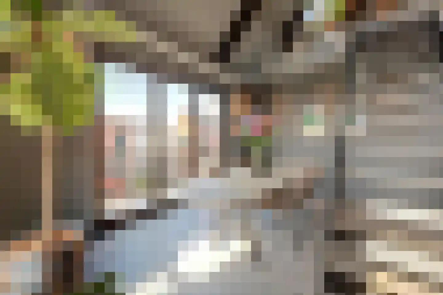 Sluiseiland-Zuid 56 Vianen thumbnail 12