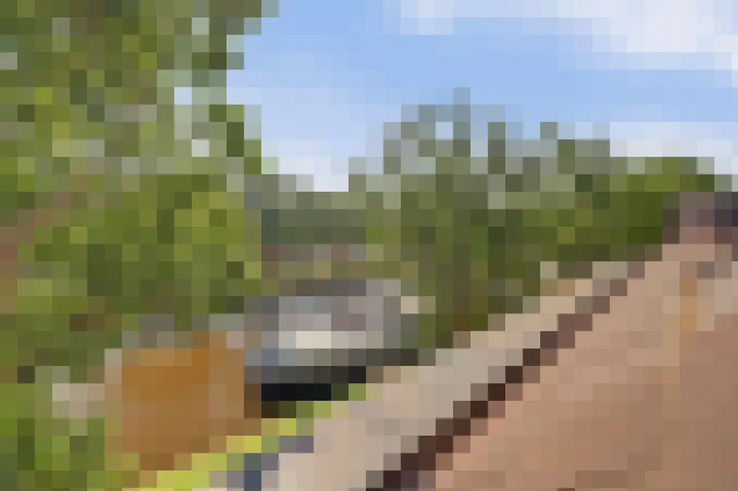 Sluiseiland-Zuid 56 Vianen thumbnail 62
