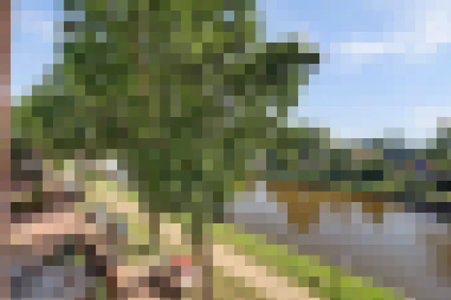 Sluiseiland-Zuid 56 Vianen thumbnail 63