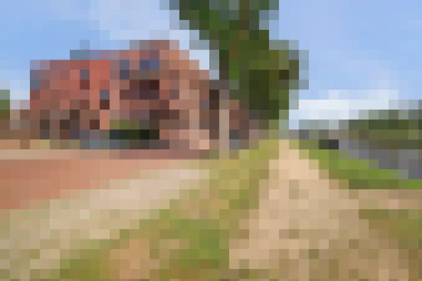 Sluiseiland-Zuid 56 Vianen thumbnail 81