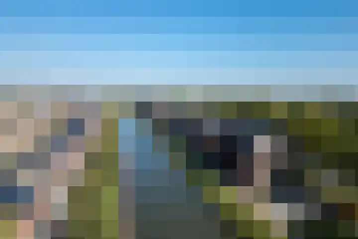 Sluiseiland-Zuid 88 Vianen thumbnail 52