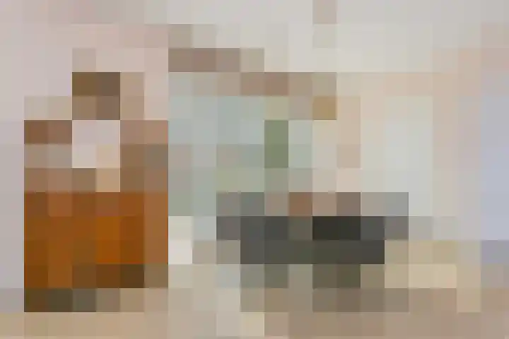 Sluishoofd 3 Wijk bij Duurstede thumbnail 12