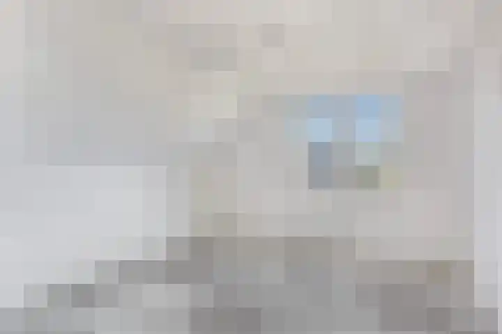 Sluisjesdijk 18 Piershil thumbnail 27