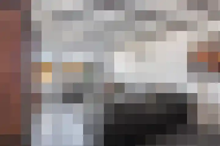 Sluisjesdijk 18 Piershil thumbnail 36