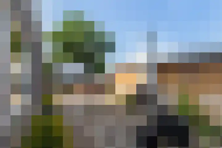 Sluisjesdijk 18 Piershil thumbnail 46