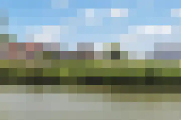 Sluisjesdijk 18 Piershil thumbnail 58