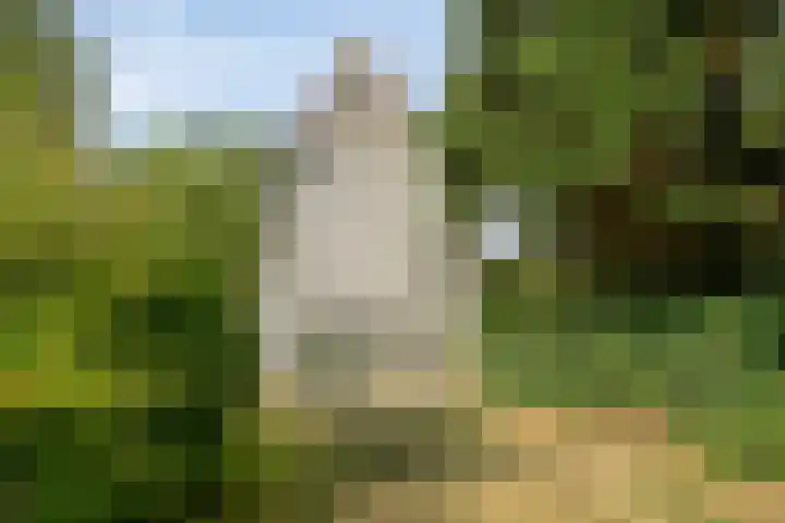 Sluisjesdijk 48 Piershil thumbnail 55