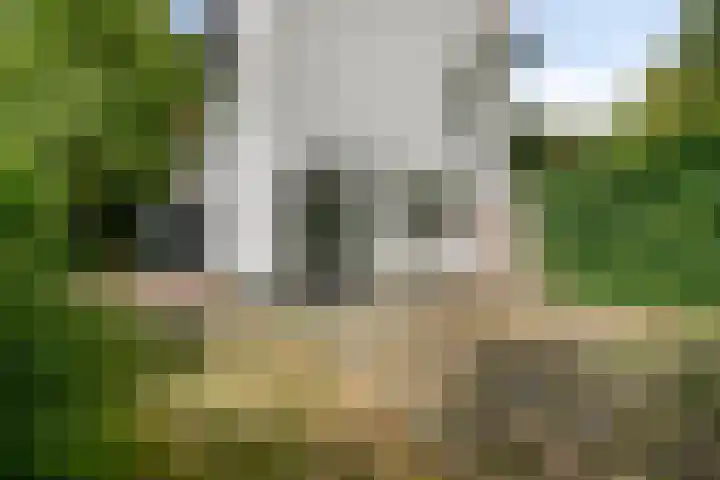 Sluisjesdijk 48 Piershil thumbnail 57
