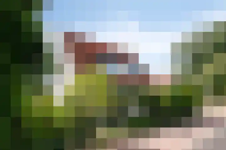 Sluisjesdijk 48 Piershil thumbnail 67