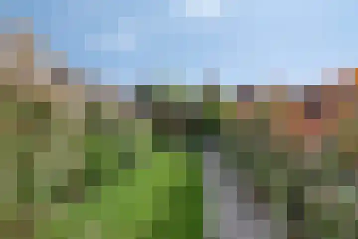 Sluiskade 139 A Musselkanaal thumbnail 31