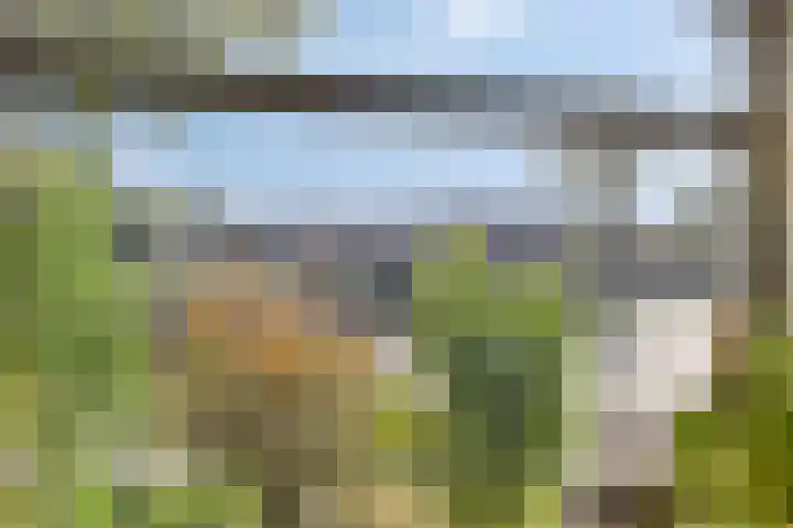 Sluiskade 139 A Musselkanaal thumbnail 39
